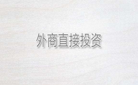 Foreign Direct Investment